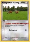 Boring horses