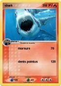 shark
