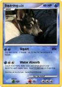 Squirdog