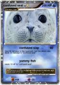 confused seal