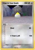 Chao In Your