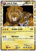 Lion & Tigre