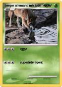berger allemand