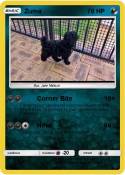 Zuma