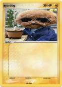 ayo dog