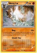 Money Cat