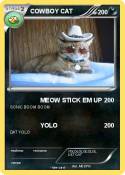 COWBOY CAT