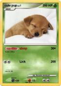 cute pup