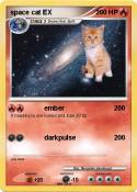 space cat EX