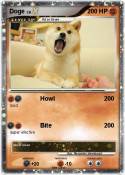 Doge