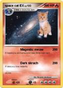 space cat EX