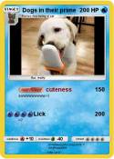 Dogs in their