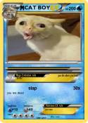 CAT BOY