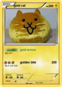 gold cat