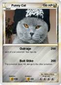 Funny Cat