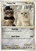 Funny Cat