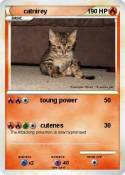 catnirey