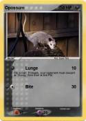 Opossum