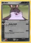 BIG BOI