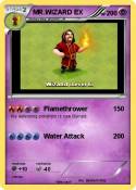 MR.WIZARD EX