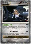my dog