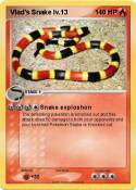 Vlad's Snake