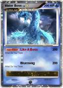 Water Boss