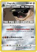 Pug Life