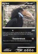 big bird