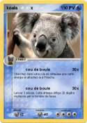 koala x