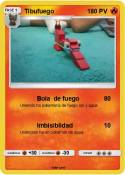 Tibufuego