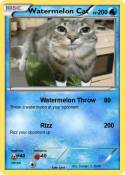 Watermelon Cat