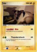 Toto