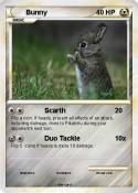 Bunny
