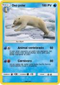 Oso polar