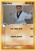 Ninja Harry