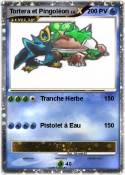 Tortera et Ping