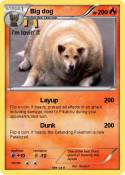 Big dog