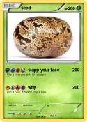 seed