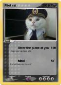 Pilot cat