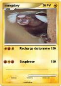 mangabey