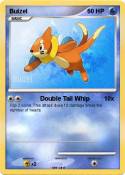 Buizel