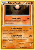 Adam Punch