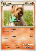 chien