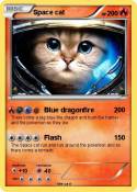 Space cat