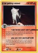 a cat getting