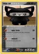 ninja cat