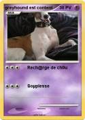 greyhound est