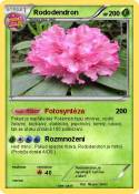 Rododendron