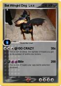 Bat Wingid Dog